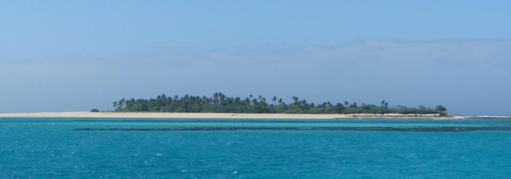 Limu Island with dark coral beds
